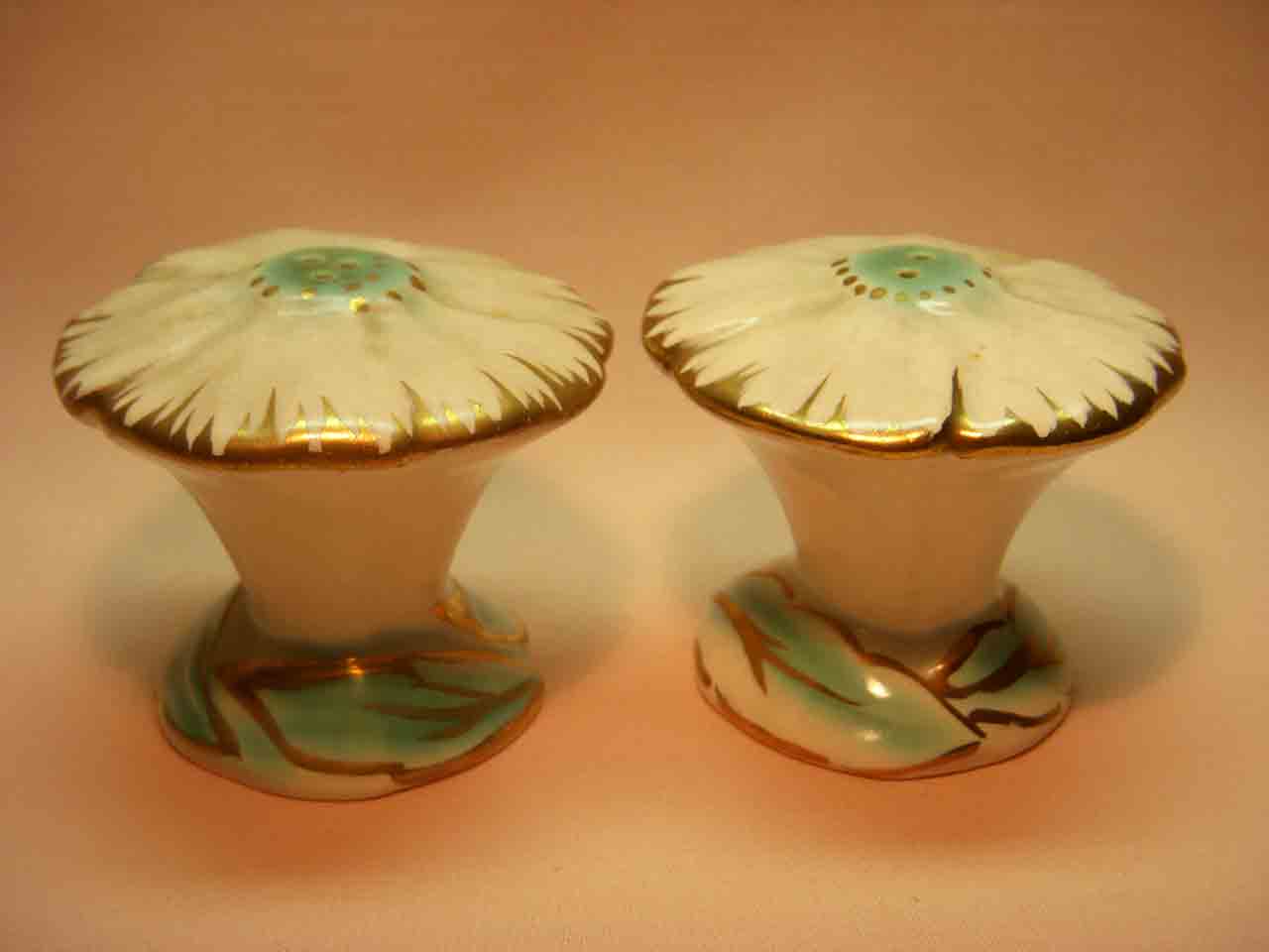 Vallona Starr cosmos salt and pepper shakers